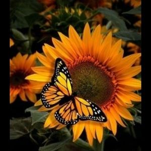 Meet your Posher, Jr